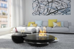 635-e637aa8b530f969d116e75c48bfed74f--duo-fireplaces-906cc3ffcdd52e90